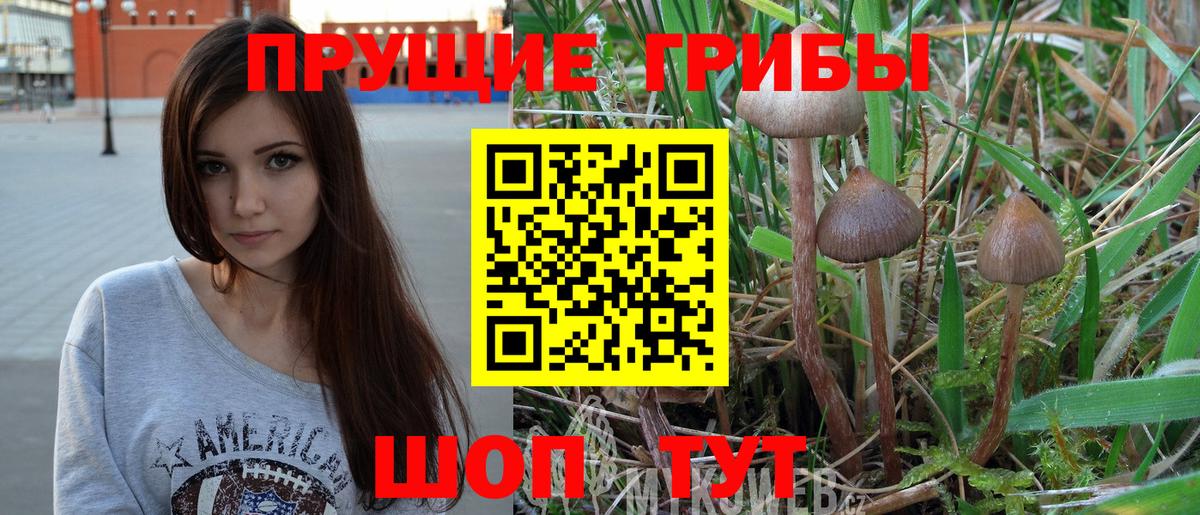 Псилоцибиновые грибы Cubensis  Вход с VPN  Екатеринбург 