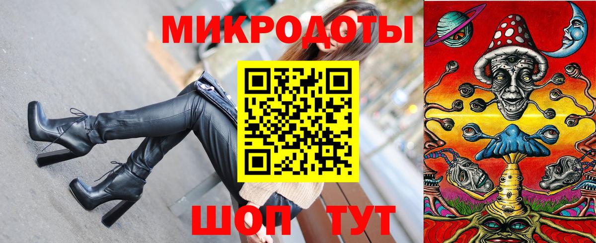 Псилоцибиновые грибы Psilocybe Екатеринбург